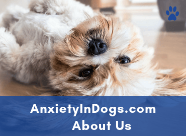 Anxiety In Dogs - About Us - Page Image