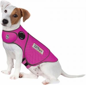 Why Is My Dog Scared Of Loud Noises - ThunderShirt Jacket Why Is My Dog Scared Of Loud Noises - ThunderShirt Jacket