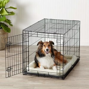 Treatment For Anxiety In Dogs - Folding Metal Dog Crate Treatment For Anxiety In Dogs - Folding Metal Dog Crate