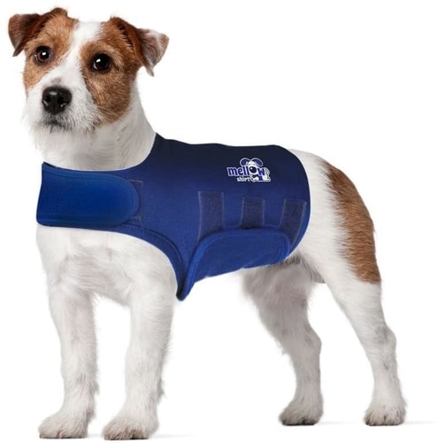 Best Dog Anxiety Vest Reviews - Mellow Shirt Dog Anxiety Calming Wrap