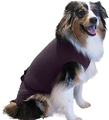 Best Dog Anxiety Vest Reviews - Surgi Snuggly Dog Cone