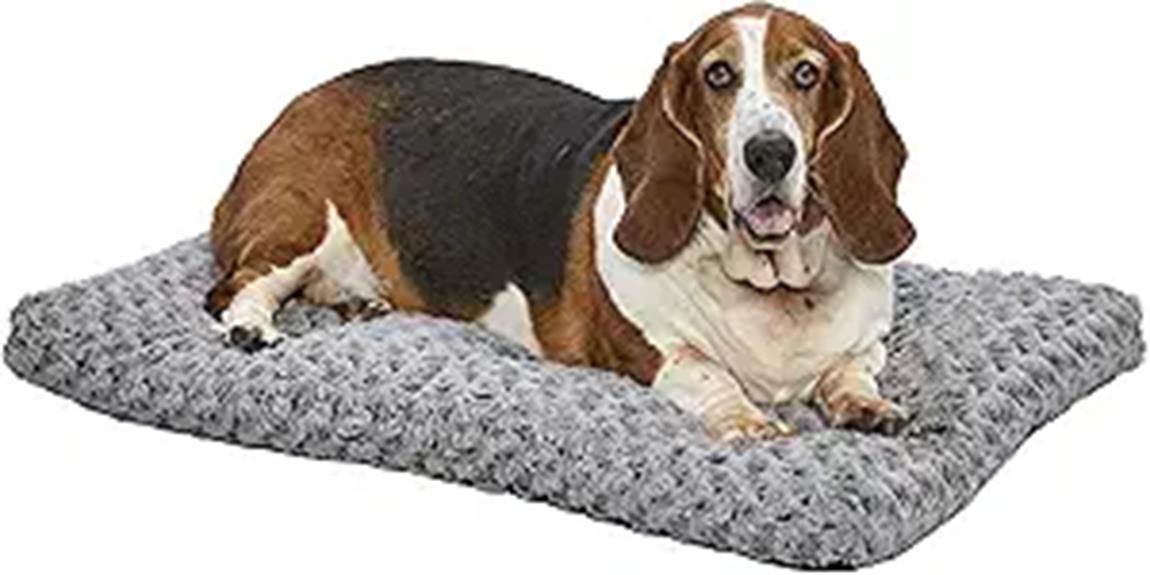 deluxe dog beds midwest