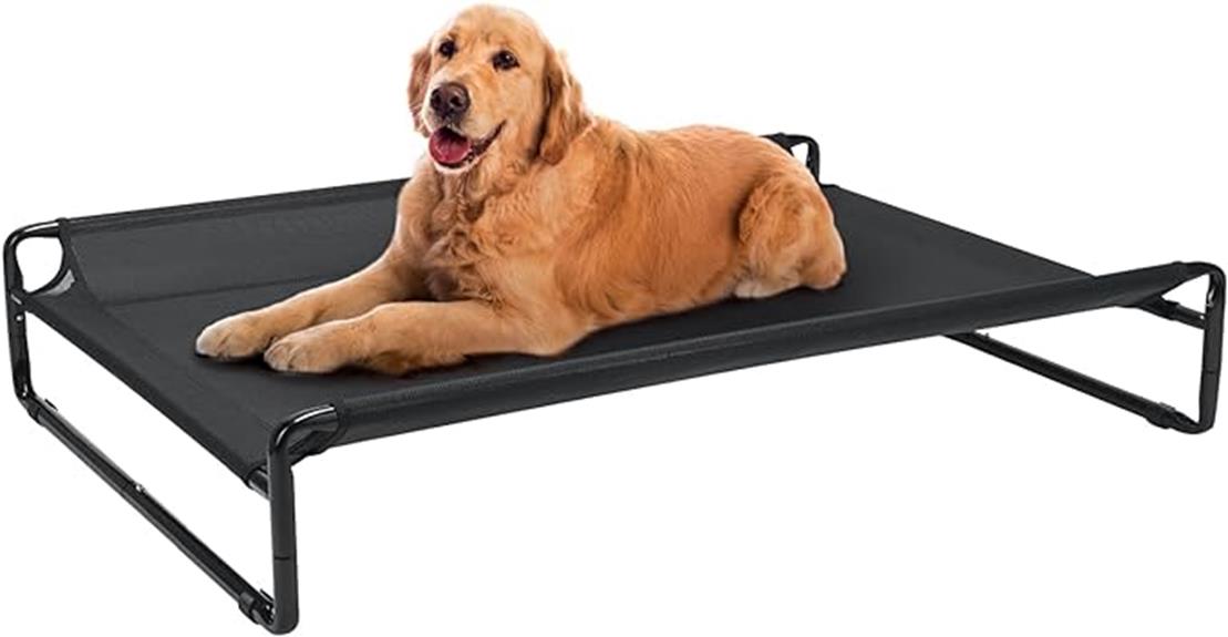 elevated cooling dog bed